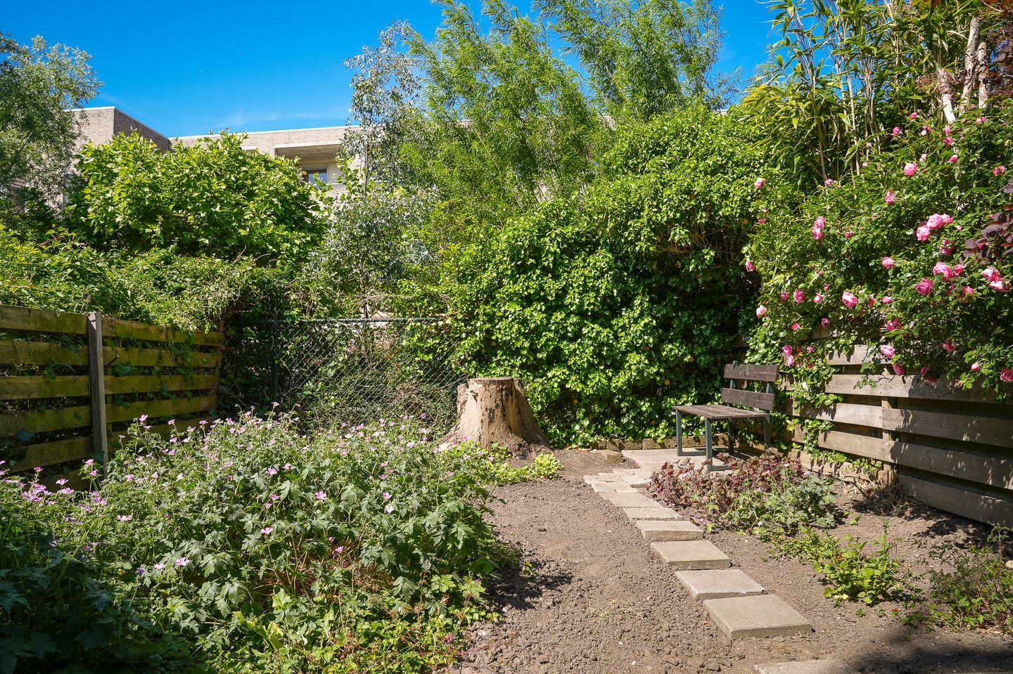 Photo 19 of Hondsrug 249