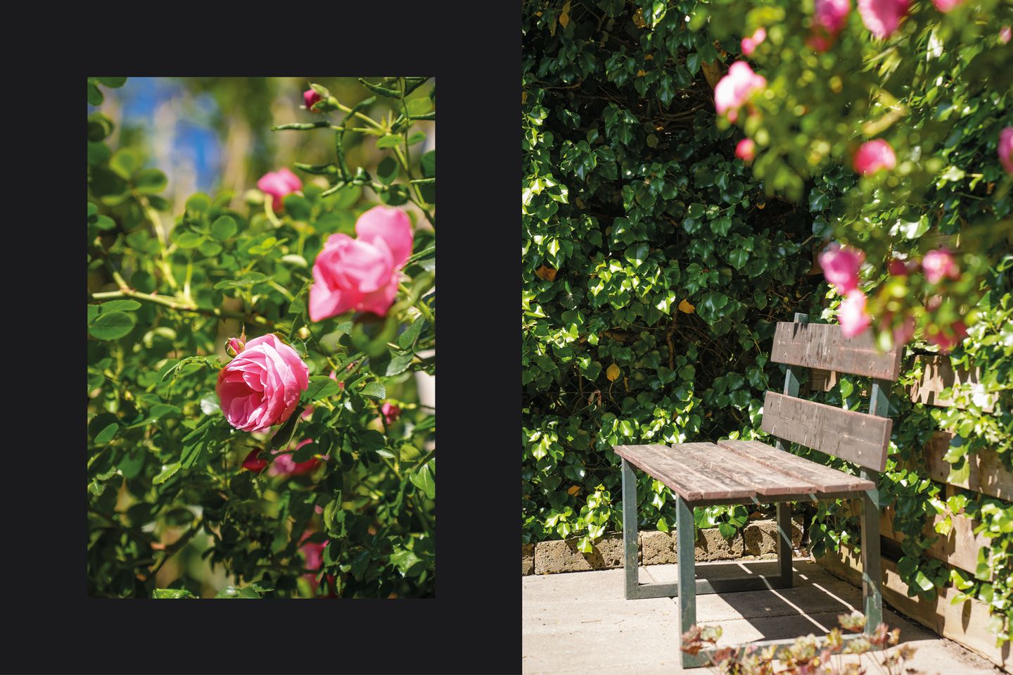 Photo 20 of Hondsrug 249