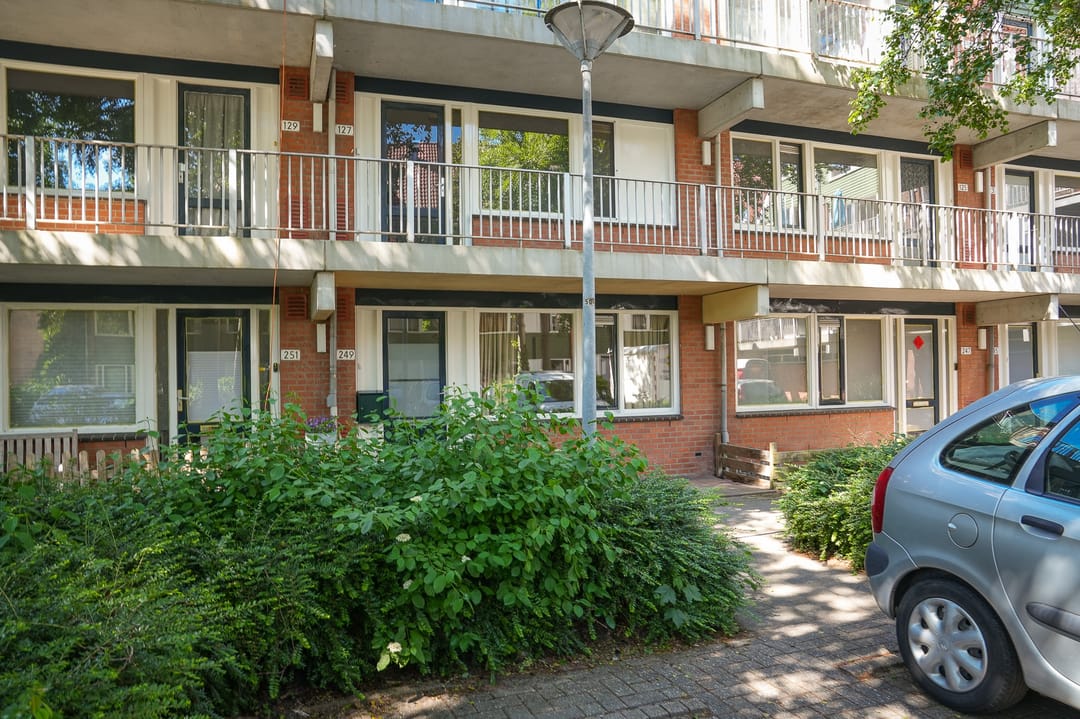 Photo 7 of Hondsrug 249