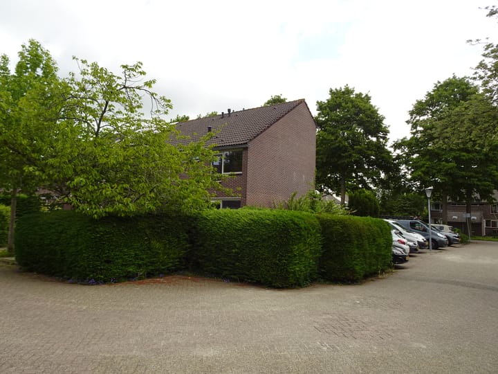 Rietzangerstraat 2