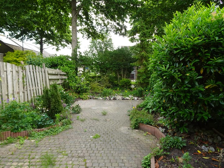 Foto 5 van Rietzangerstraat 2