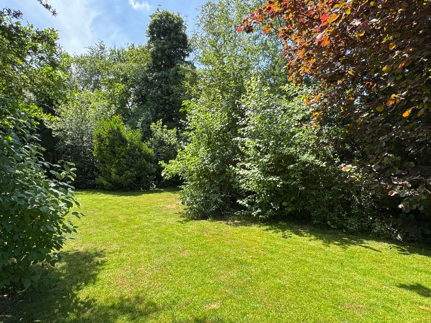 Foto 19 van Verl Hoogeveense Vaart 57