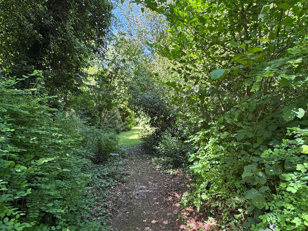 Foto 23 van Verl Hoogeveense Vaart 57