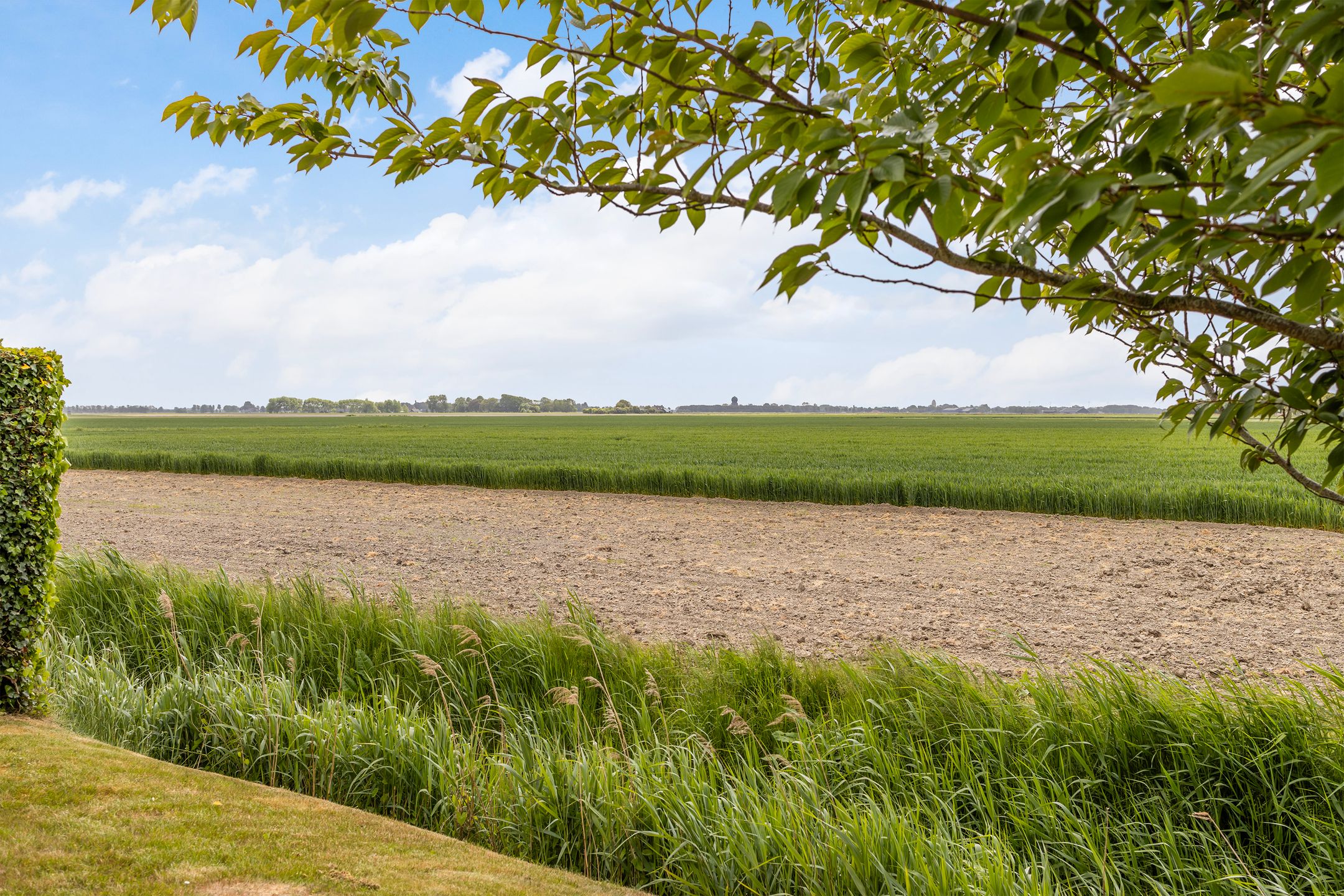 Foto 45 van K. van Zandbergenstraat 30