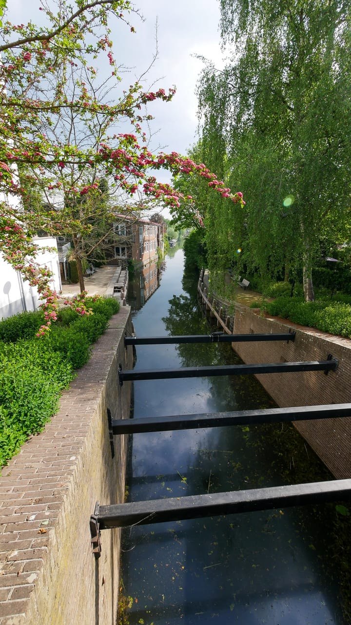 Photo 44 of Peulenstraat 247-B