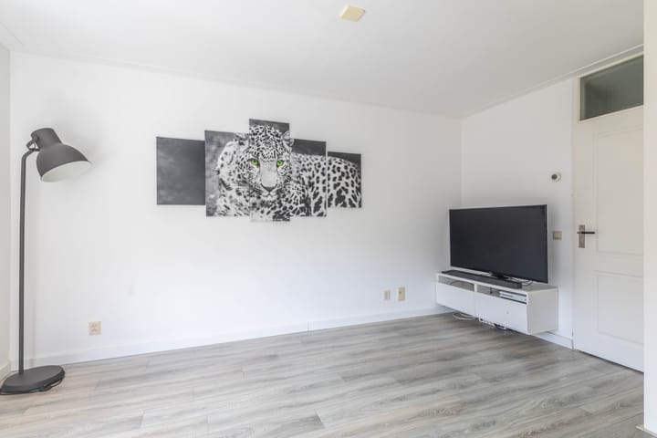 Foto 8 van van Borsselestraat 41