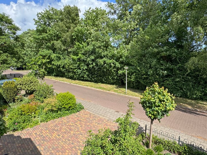 Photo 31 of David Krammerstraat 15