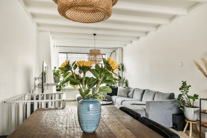 Foto 16 van Meent 69-D