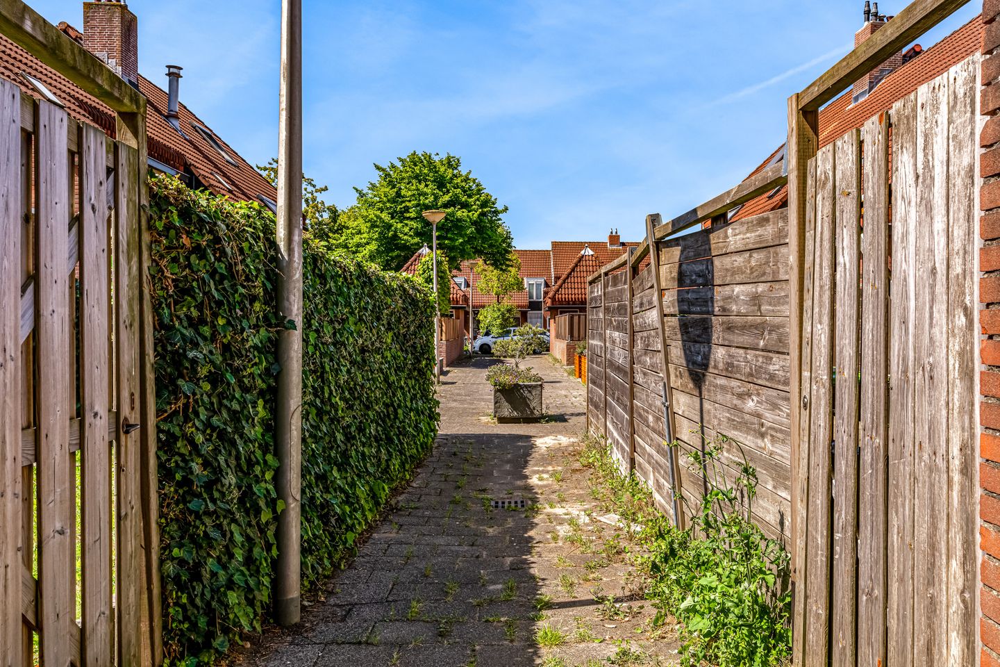 Foto 40 van Rietgorshoek 14