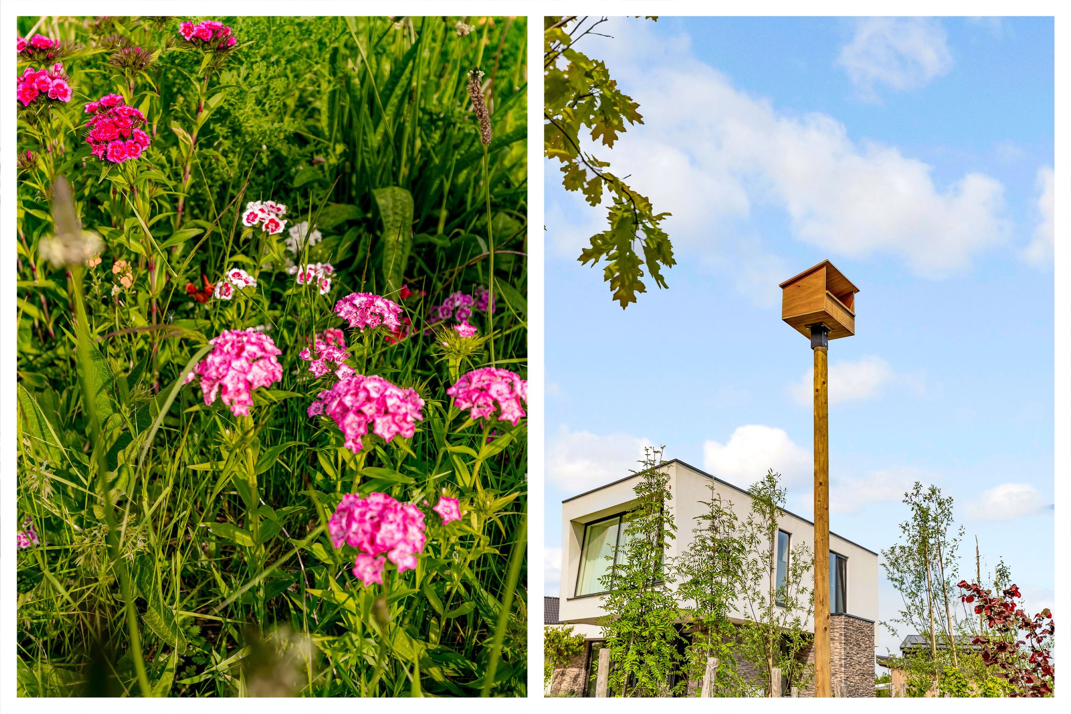 Foto 54 van Melkweg 17