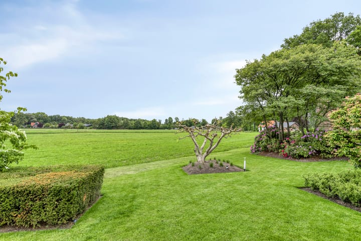 Foto 48 van W. Dreeslaan 47