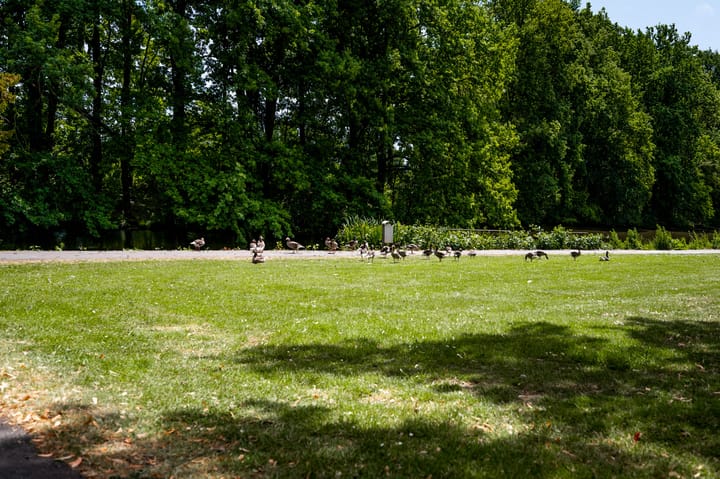 Foto 44 van Schuttecleef 11