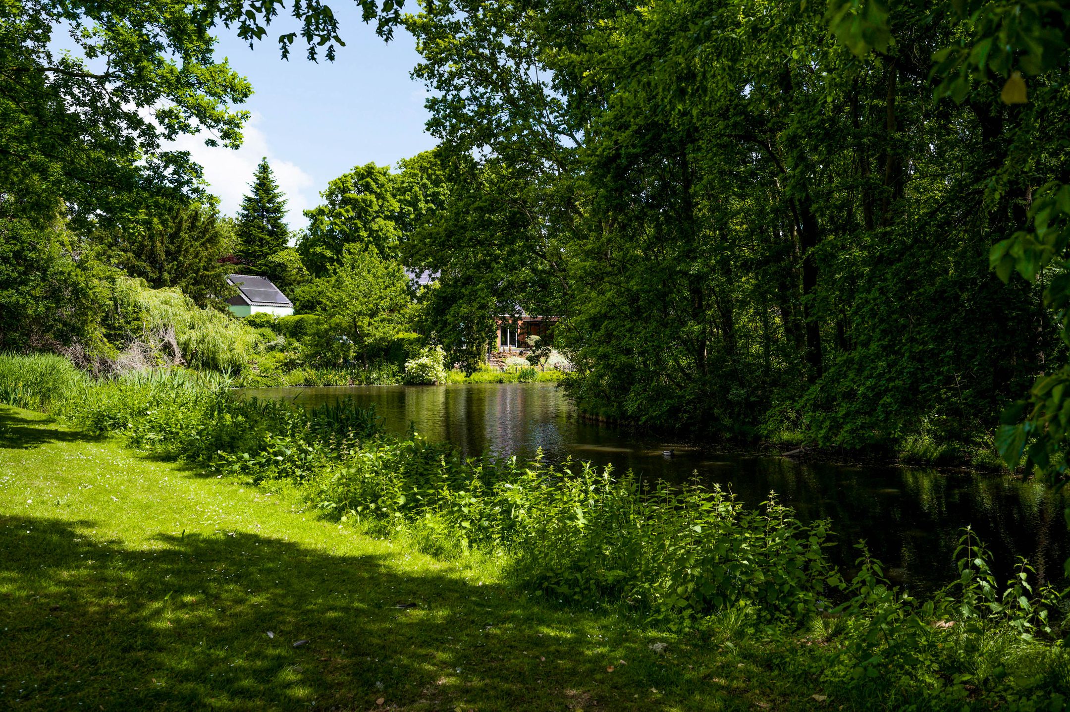 Foto 45 van Schuttecleef 11