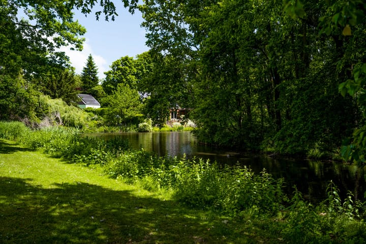 Foto 45 van Schuttecleef 11