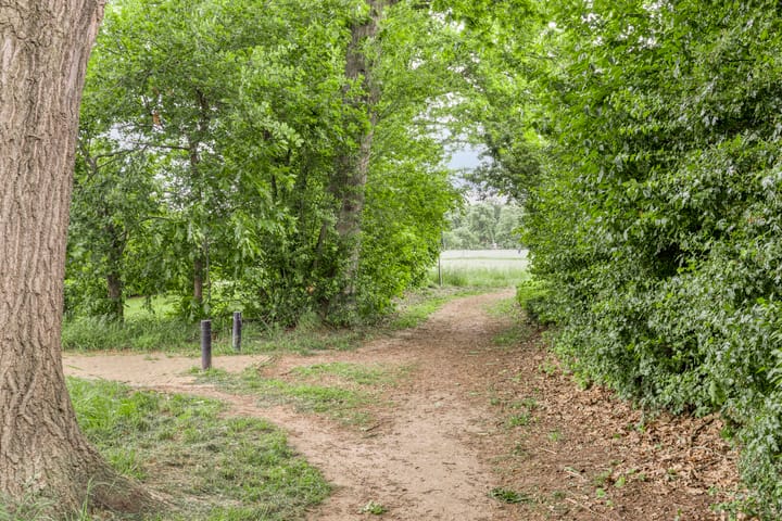 Foto 55 van W. Dreeslaan 47