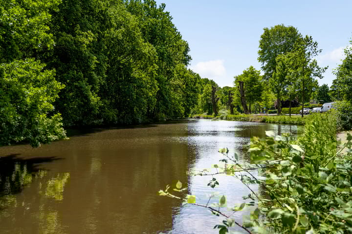 Foto 47 van Schuttecleef 11