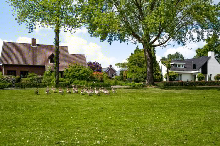 Foto 48 van Schuttecleef 11