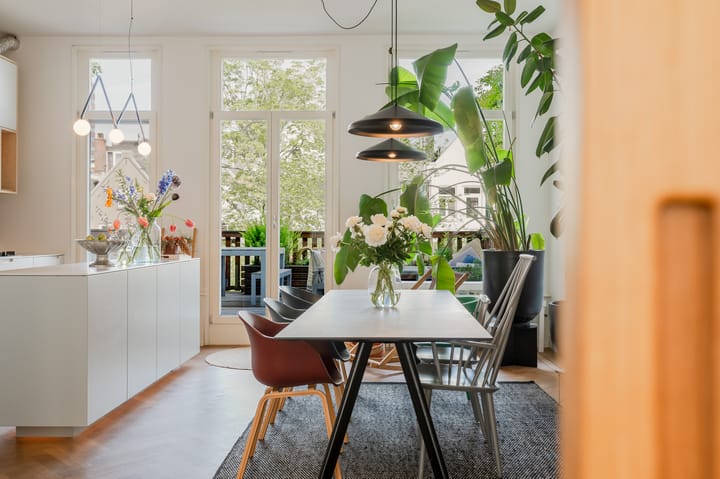 Foto 4 van Tweede Jan Steenstraat 117-1