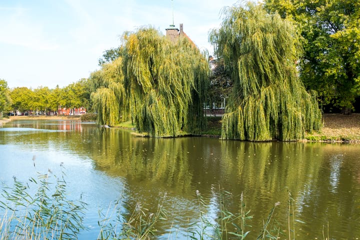 Photo 43 of Ravelijn de Grenadier 2