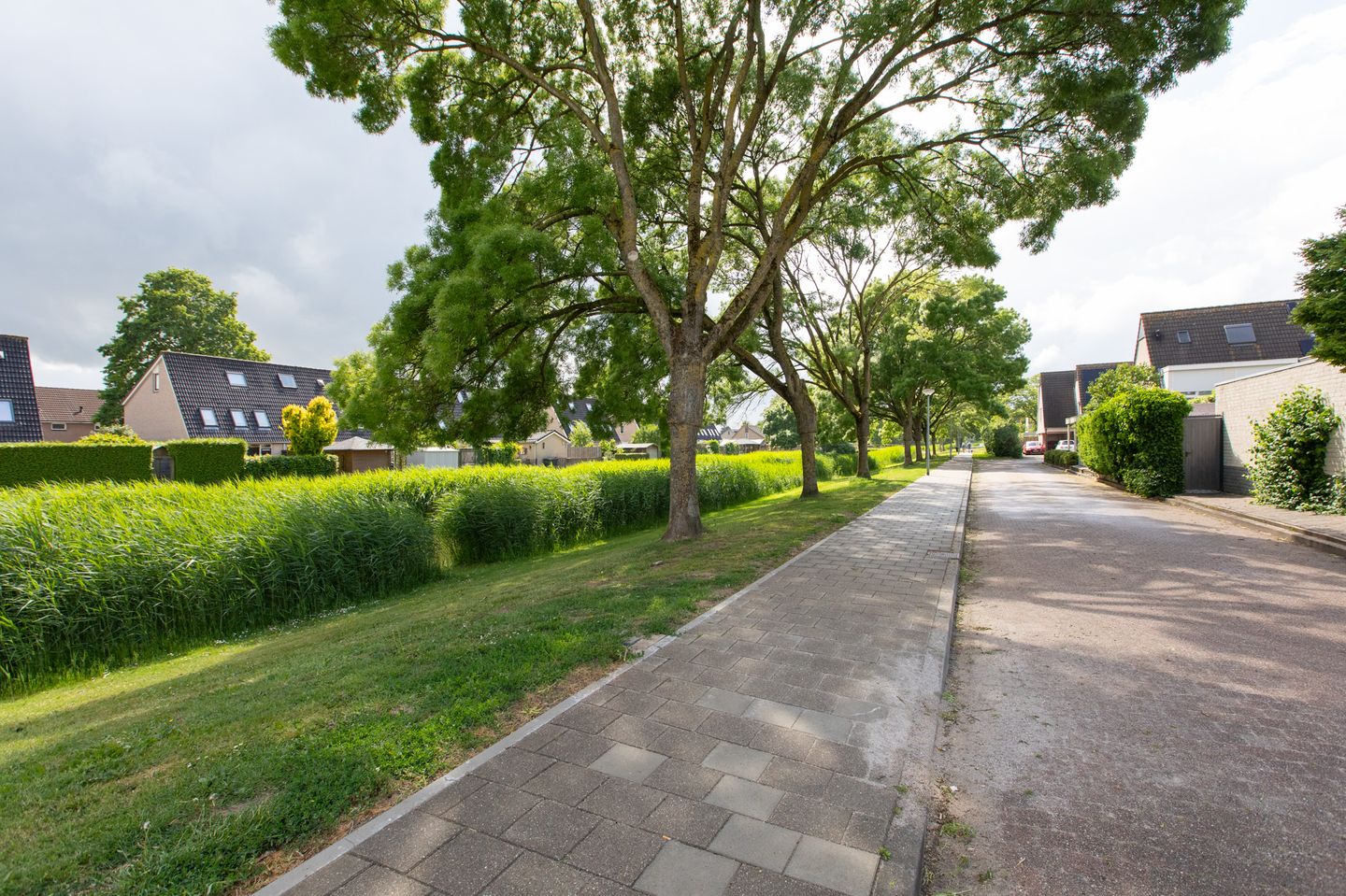 Foto 64 van Tholenstraat 22