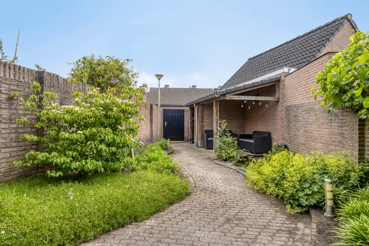 Photo 30 of Calluna 26