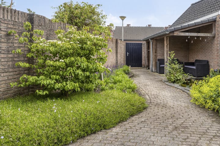 Photo 31 of Calluna 26