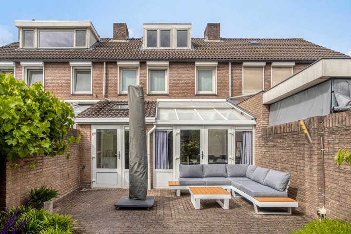 Photo 33 of Calluna 26