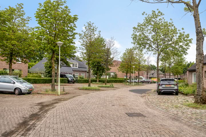 Photo 36 of Calluna 26