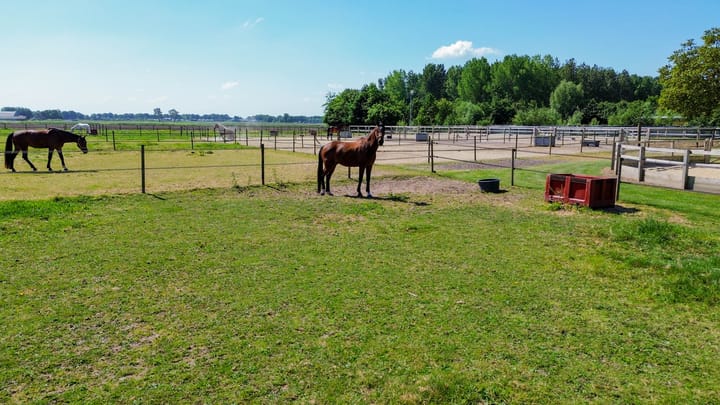 Foto 4 van Steegse Peelweg 87