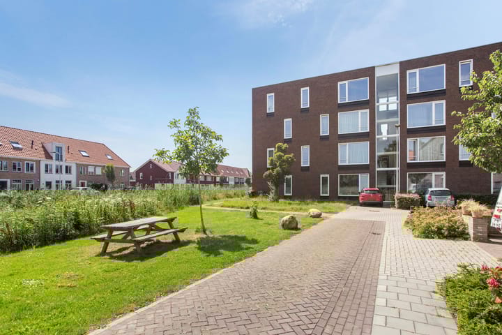 Foto 43 van Omslag 9