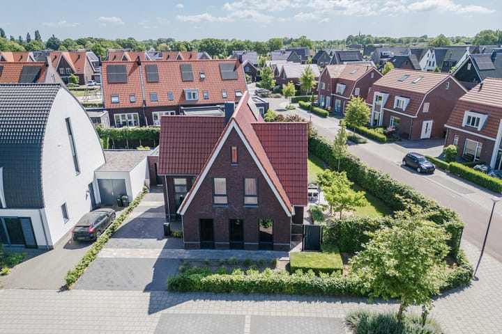 Foto 2 van Kleine Vuurvlinder 45