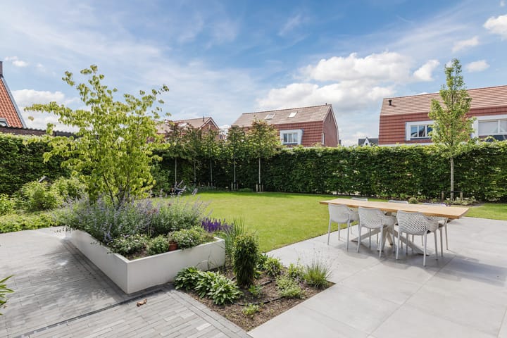 Foto 35 van Kleine Vuurvlinder 45