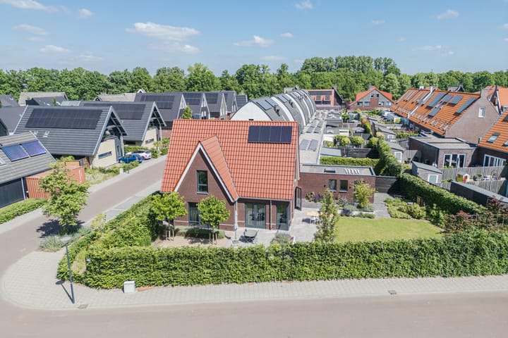 Foto 58 van Kleine Vuurvlinder 45