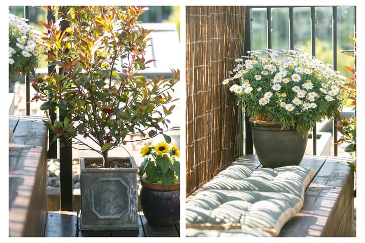 Foto 25 van Conradstraat 80-H