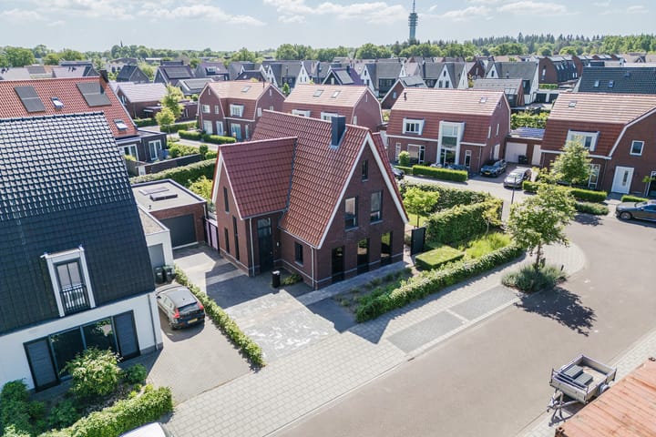 Foto 60 van Kleine Vuurvlinder 45