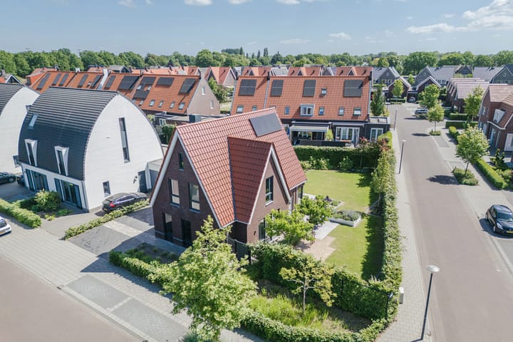 Foto 62 van Kleine Vuurvlinder 45