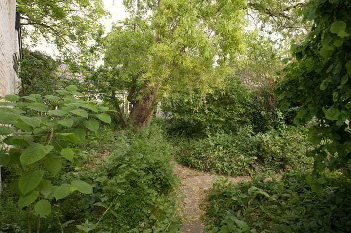 Foto 42 van Lodewijkstraat 13