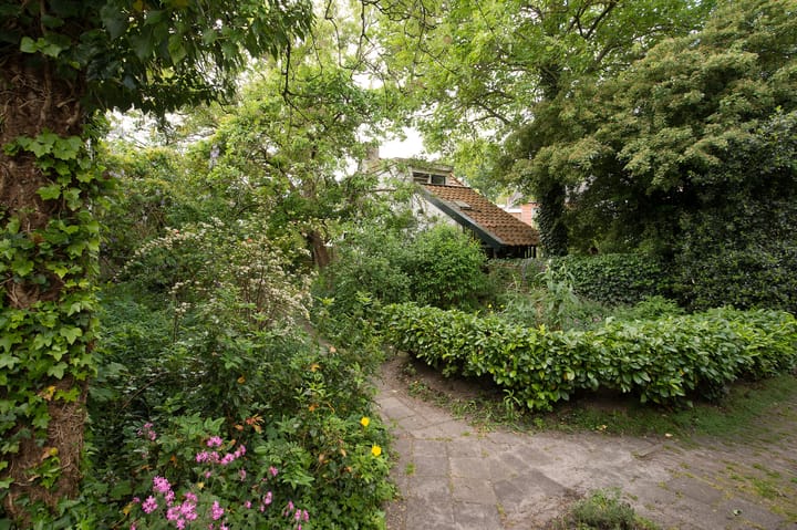 Foto 43 van Lodewijkstraat 13