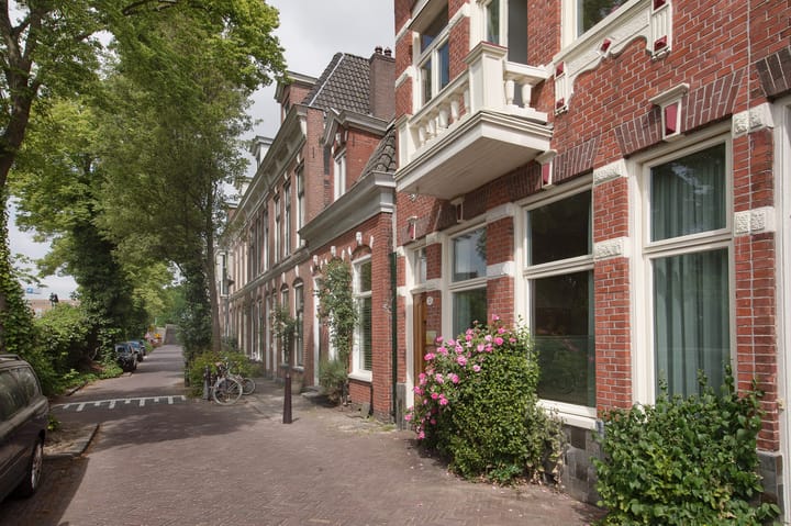 Foto 46 van Lodewijkstraat 13
