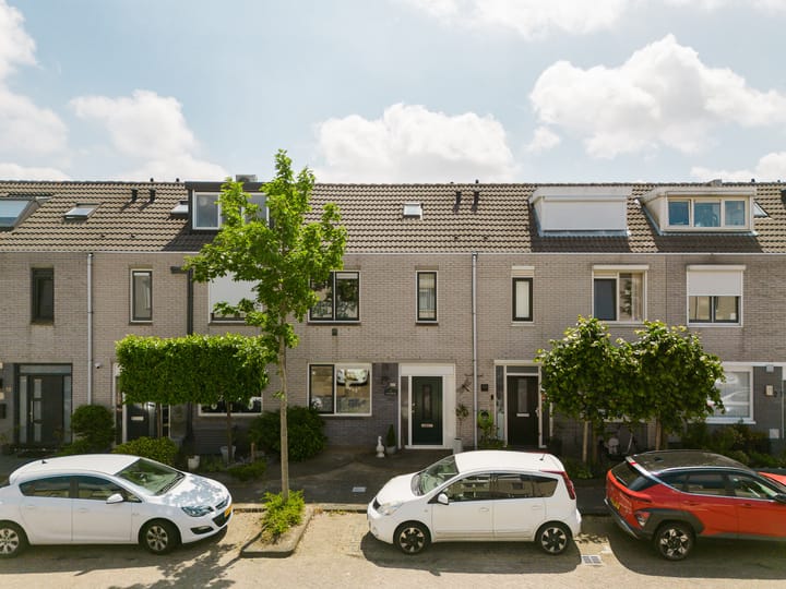 undefined main image