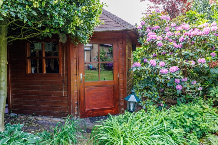 Foto 32 van Wildbaan 9