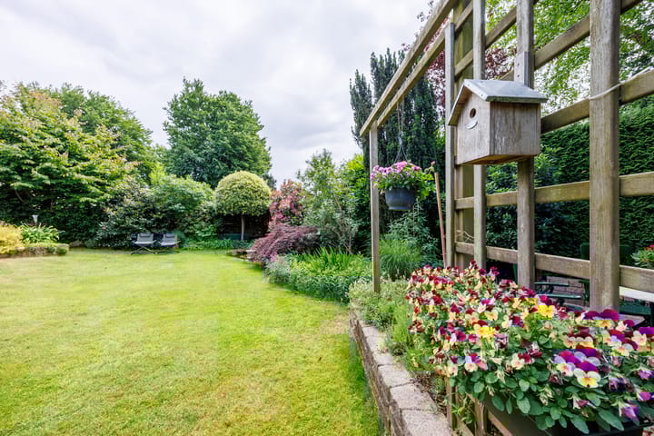 Foto 34 van Wildbaan 9