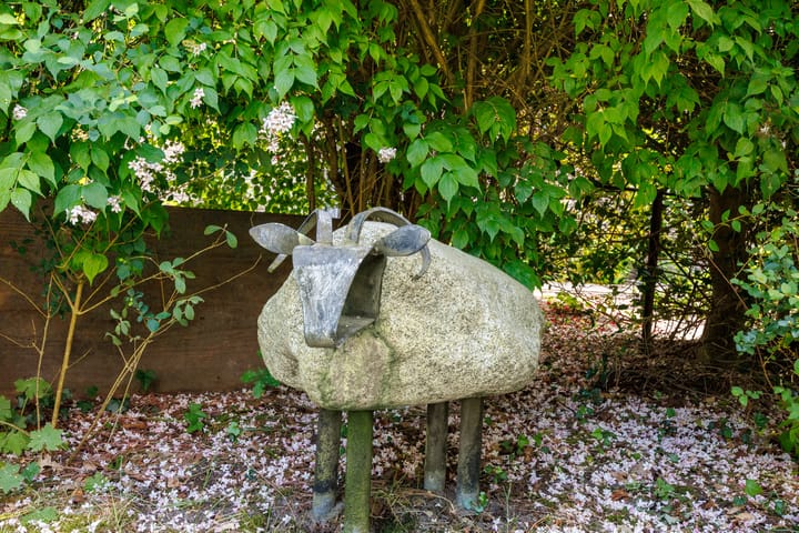 Foto 35 van Wildbaan 9