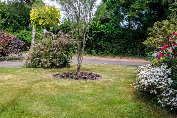 Foto 37 van Wildbaan 9