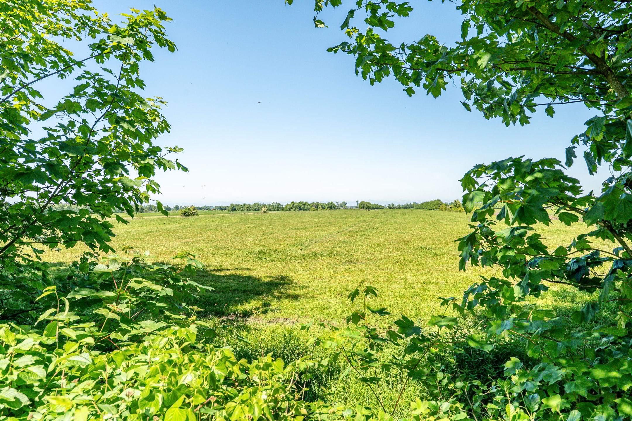 Foto 33 van D Wiersmastrjitte 33