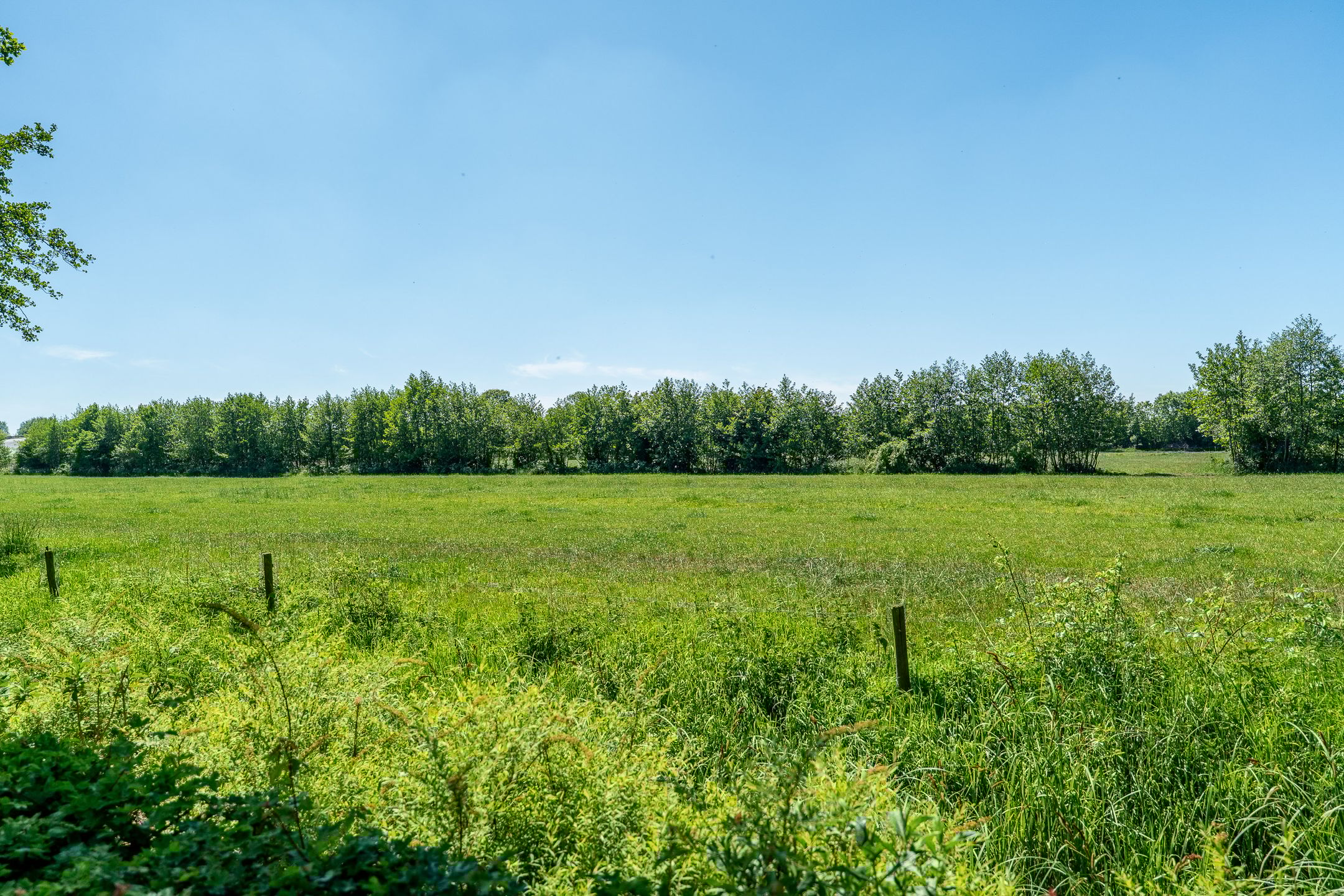 Foto 39 van D Wiersmastrjitte 33