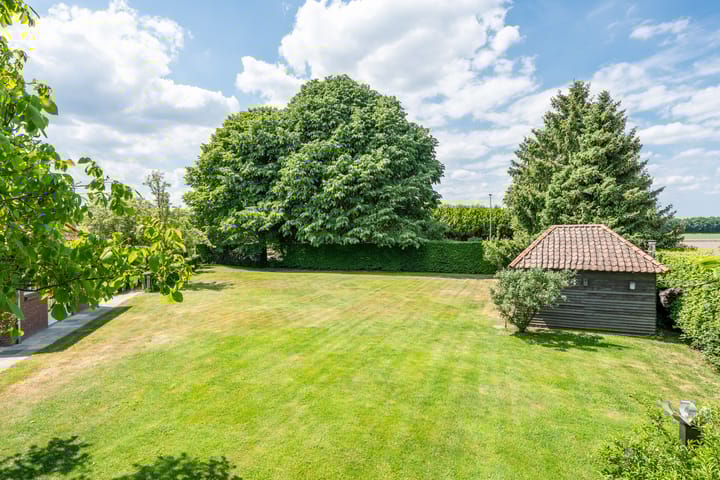 Photo 57 of Bosscheweg 1