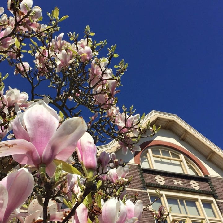 Photo 10 of Dorpsstraat 127