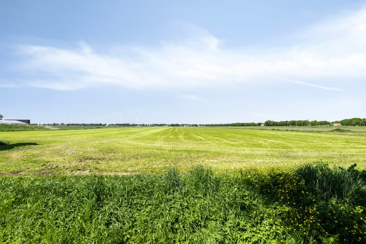 Photo 49 of Zuiderdiep 414