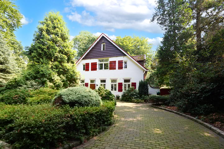 Foto 1 van Schapendrift 63